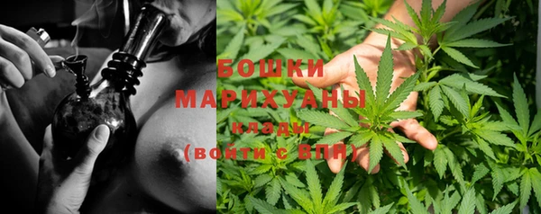 бутират Лагань