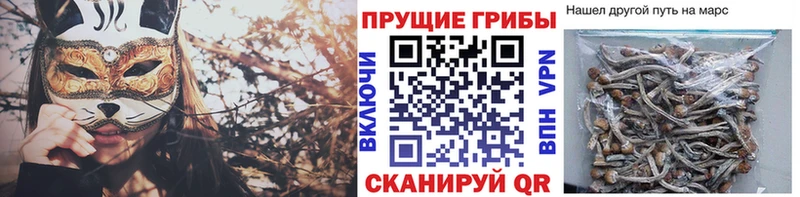 Псилоцибиновые грибы мицелий  Новороссийск 