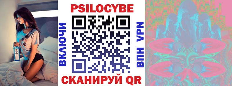 Псилоцибиновые грибы Psilocybe Новороссийск